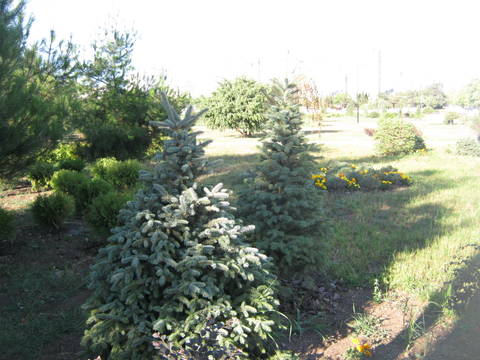 http://upforme.ru/uploads/0013/1f/fe/411/t410159.jpg