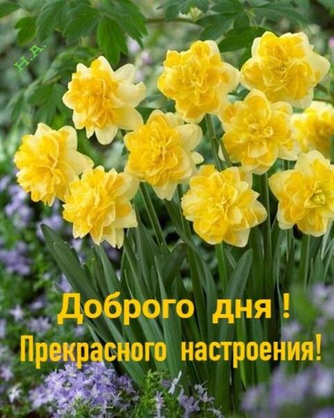 http://upforme.ru/uploads/0013/1f/fe/411/t456898.jpg