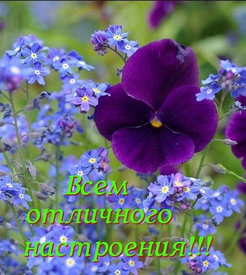 http://upforme.ru/uploads/0013/1f/fe/411/t602342.jpg