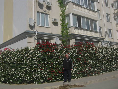http://upforme.ru/uploads/0013/1f/fe/411/t624651.jpg
