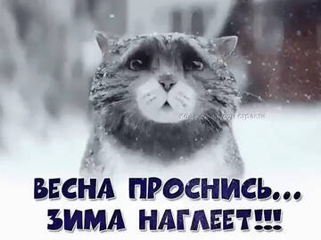 http://upforme.ru/uploads/0013/1f/fe/411/t674221.jpg