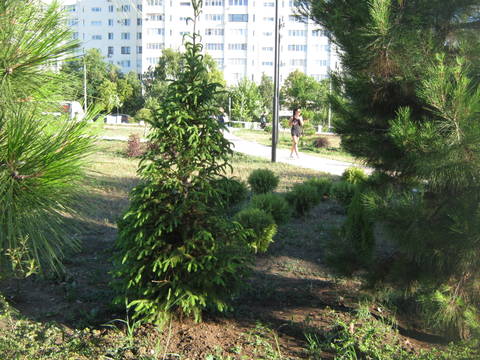 http://upforme.ru/uploads/0013/1f/fe/411/t707323.jpg