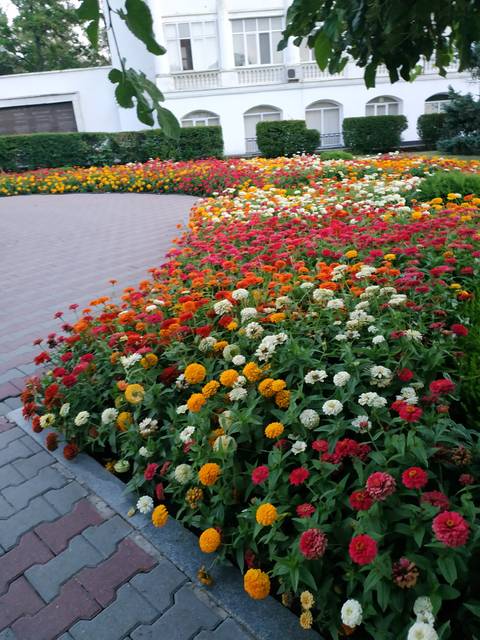 http://upforme.ru/uploads/0013/1f/fe/411/t709774.jpg