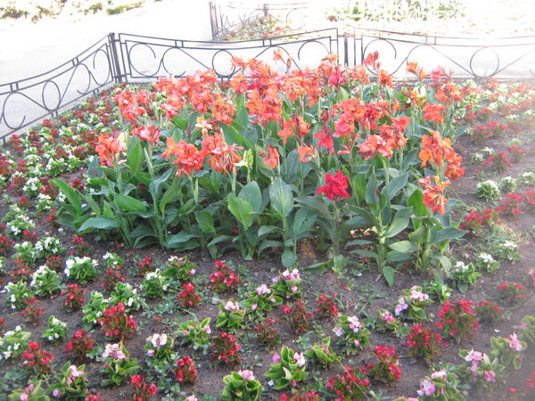 http://upforme.ru/uploads/0013/1f/fe/411/t724684.jpg