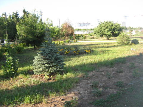 http://upforme.ru/uploads/0013/1f/fe/411/t834302.jpg