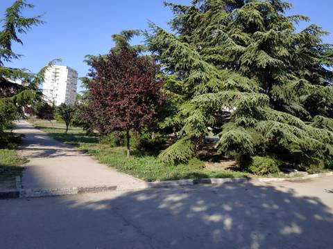 http://upforme.ru/uploads/0013/1f/fe/411/t913988.jpg