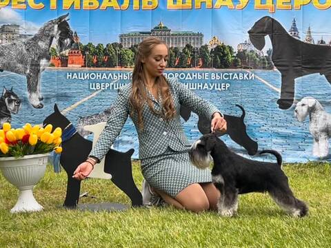 http://upforme.ru/uploads/0013/26/e2/2/t296649.jpg