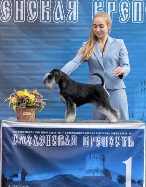 http://upforme.ru/uploads/0013/26/e2/2/t41993.jpg