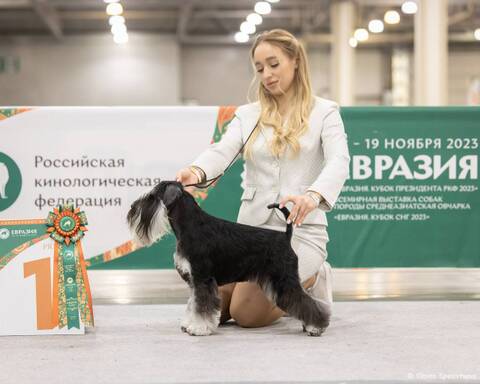 http://upforme.ru/uploads/0013/26/e2/2/t618016.jpg