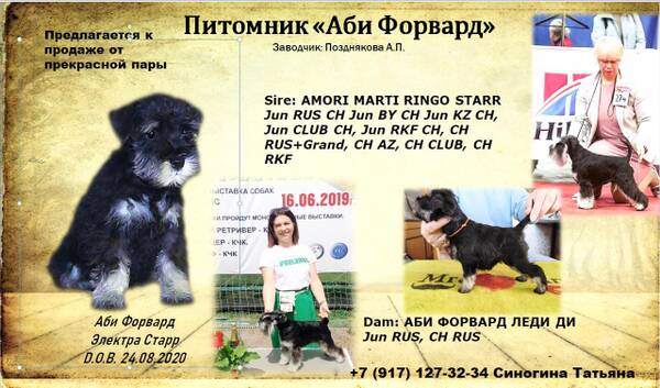 http://upforme.ru/uploads/0013/26/e2/2/t641384.jpg