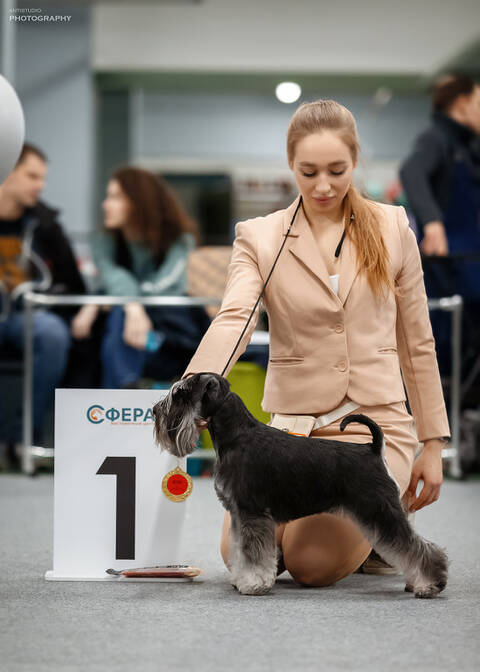 http://upforme.ru/uploads/0013/26/e2/2/t680173.jpg