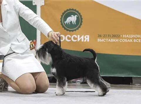 http://upforme.ru/uploads/0013/26/e2/2/t789898.jpg