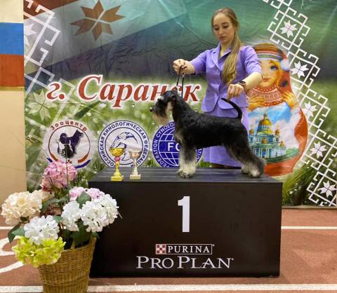 http://upforme.ru/uploads/0013/26/e2/2/t801162.jpg