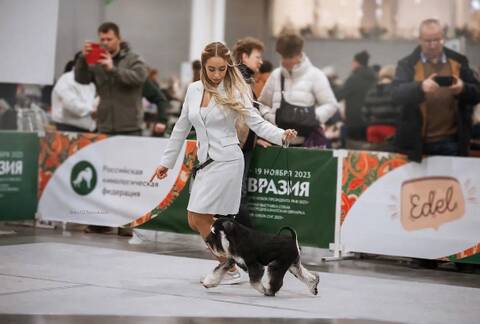 http://upforme.ru/uploads/0013/26/e2/2/t891622.jpg