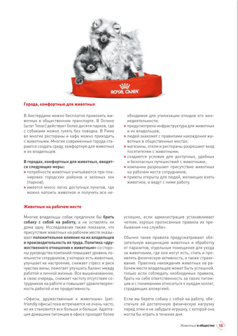 http://upforme.ru/uploads/0013/26/e2/64/116731.png