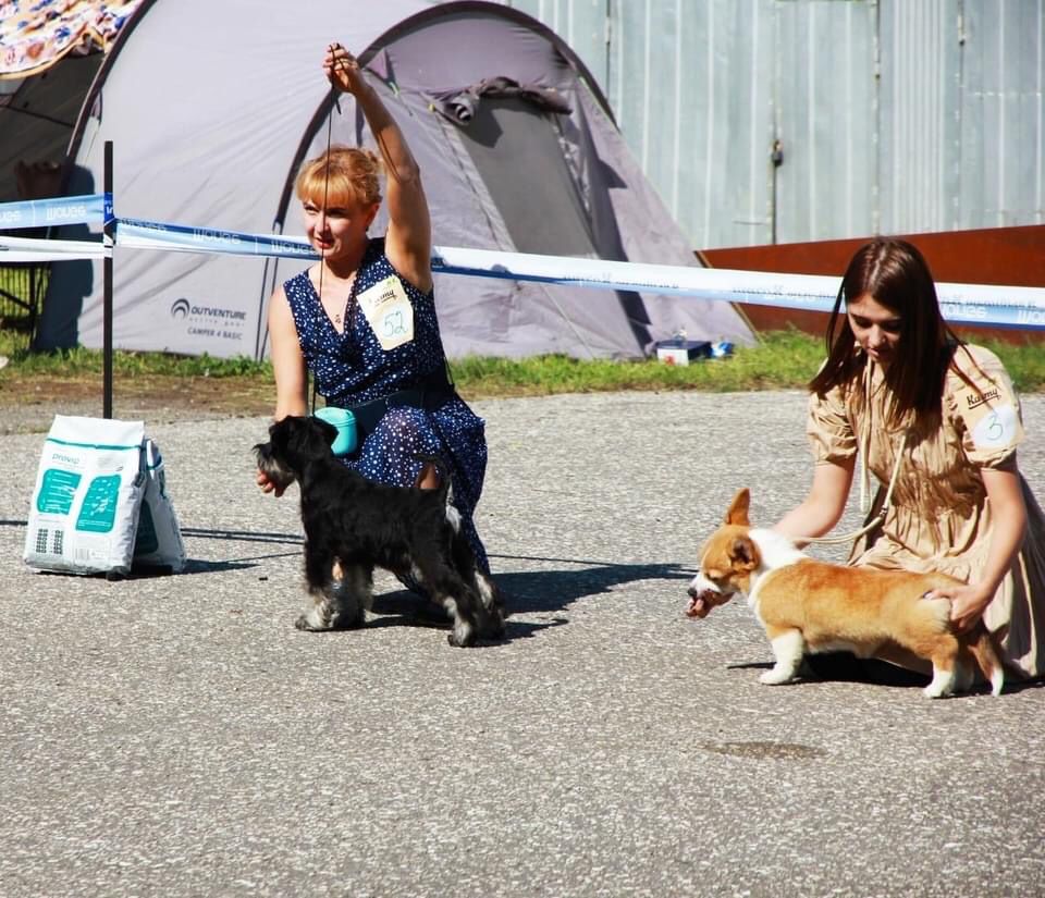 http://upforme.ru/uploads/0013/26/e2/64/116947.jpg
