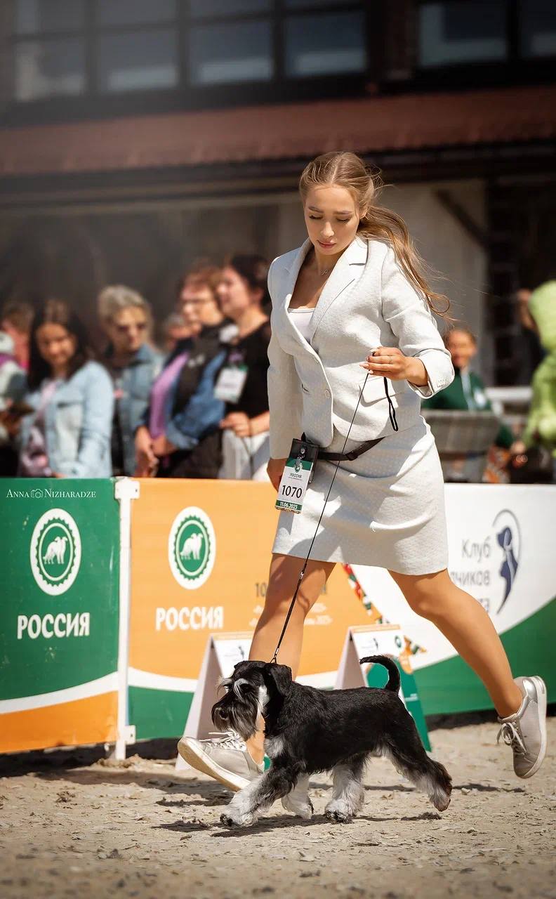 http://upforme.ru/uploads/0013/26/e2/64/119638.jpg