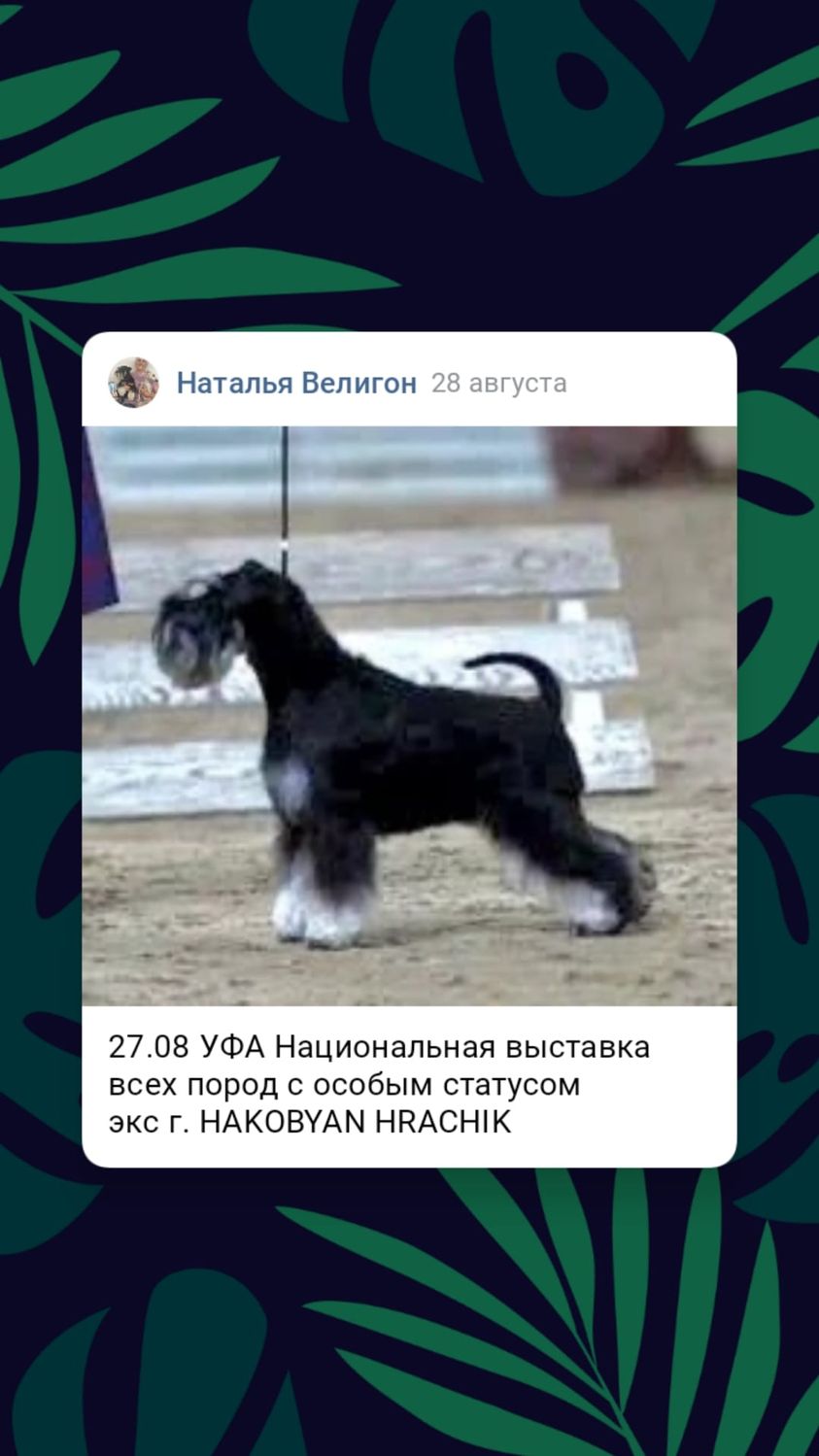 http://upforme.ru/uploads/0013/26/e2/64/123281.jpg