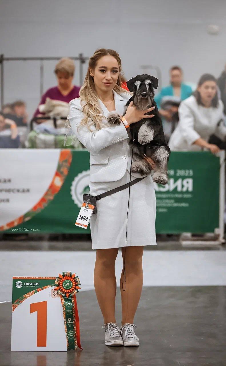http://upforme.ru/uploads/0013/26/e2/64/127045.jpg