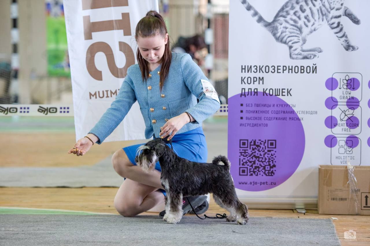 http://upforme.ru/uploads/0013/26/e2/64/127146.jpg