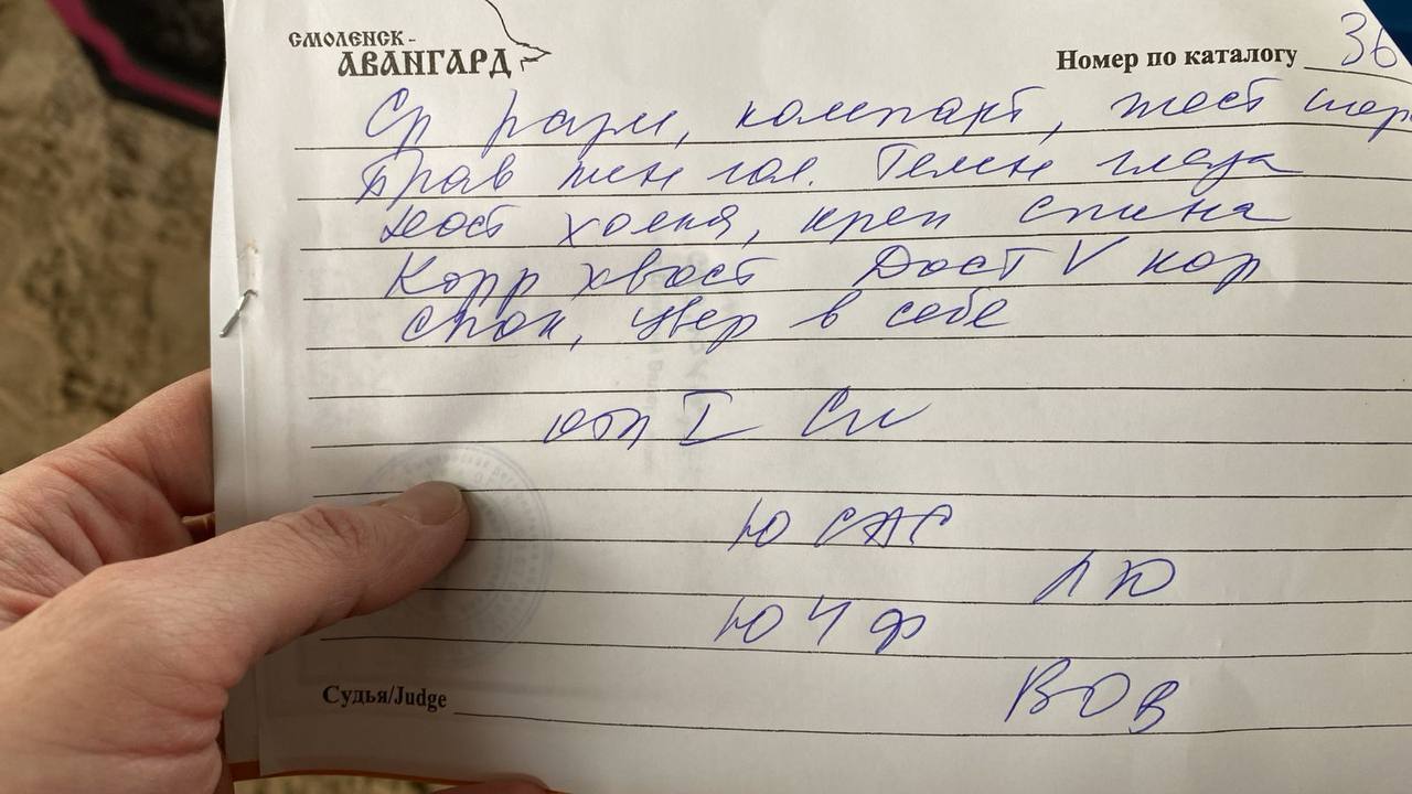 http://upforme.ru/uploads/0013/26/e2/64/128897.jpg