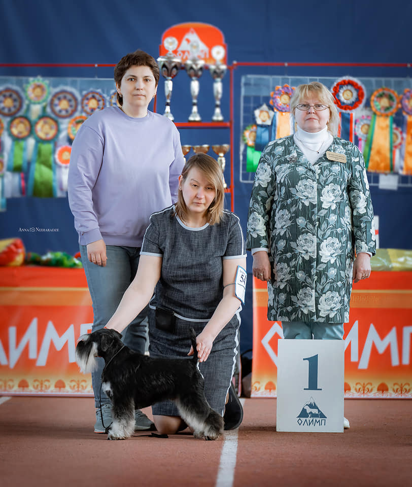 http://upforme.ru/uploads/0013/26/e2/64/134241.jpg