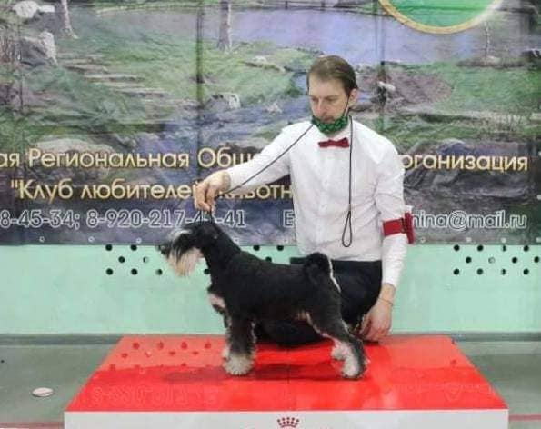 http://upforme.ru/uploads/0013/26/e2/64/135298.jpg