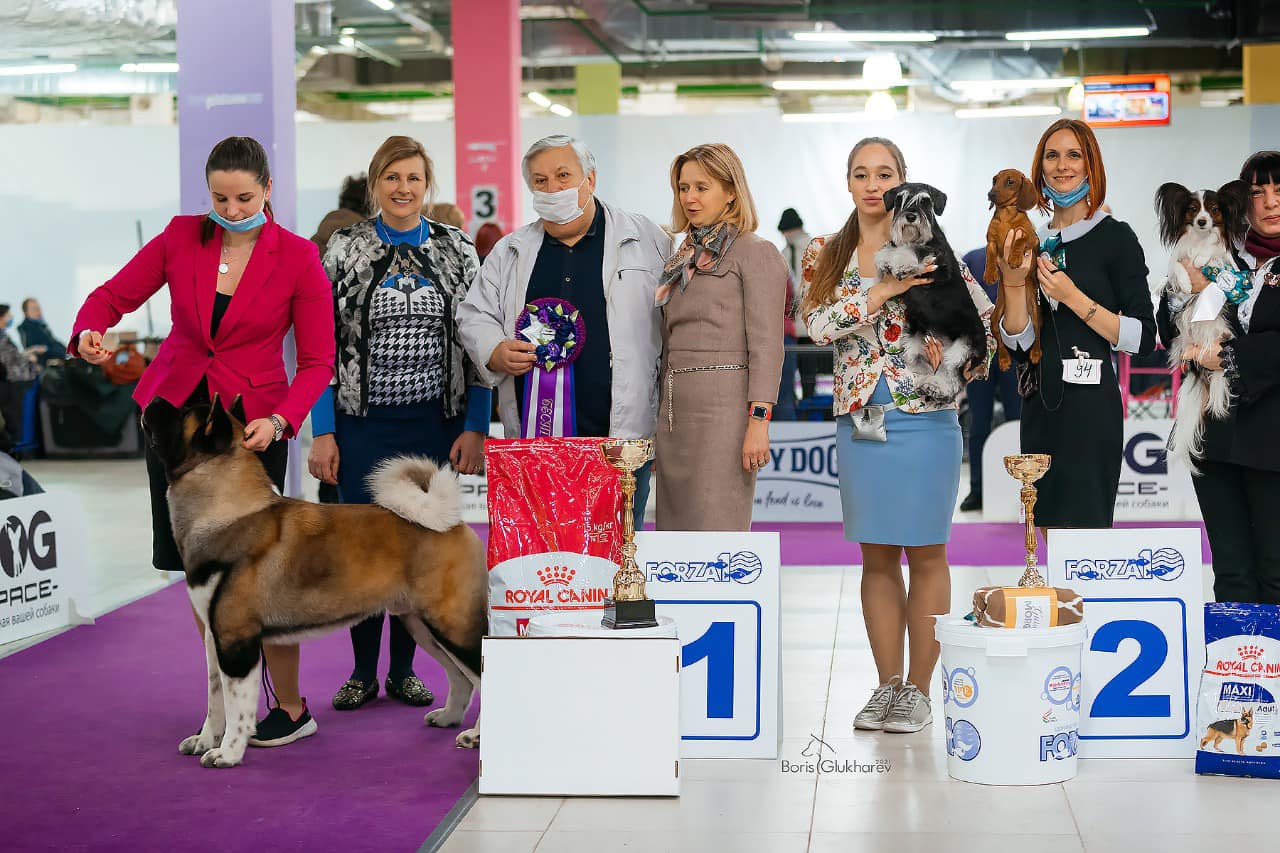http://upforme.ru/uploads/0013/26/e2/64/136335.jpg