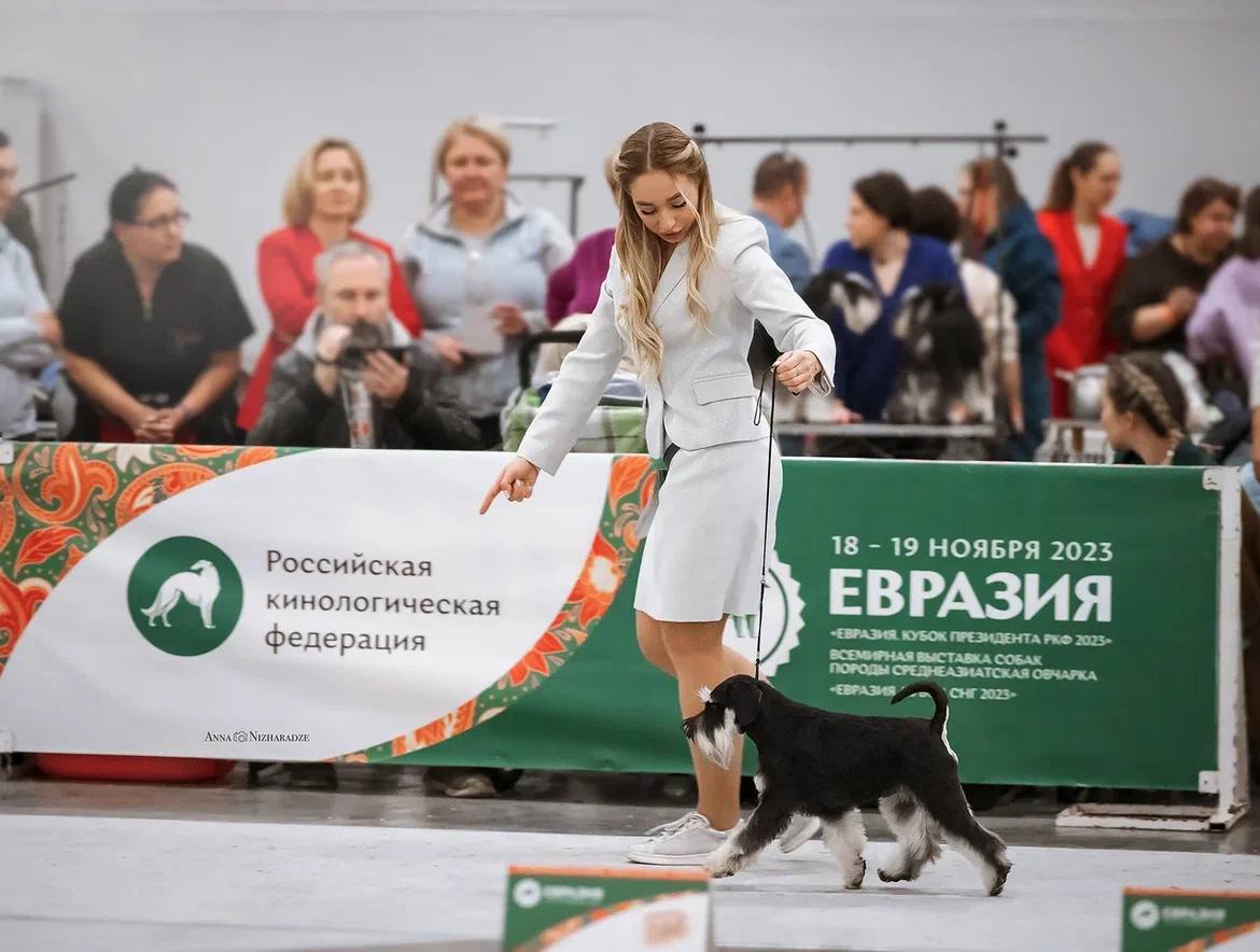 http://upforme.ru/uploads/0013/26/e2/64/138553.jpg