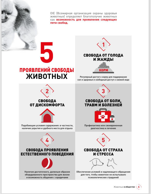 http://upforme.ru/uploads/0013/26/e2/64/139445.png