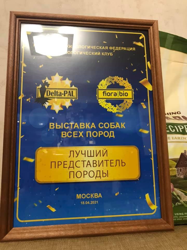 http://upforme.ru/uploads/0013/26/e2/64/142868.jpg