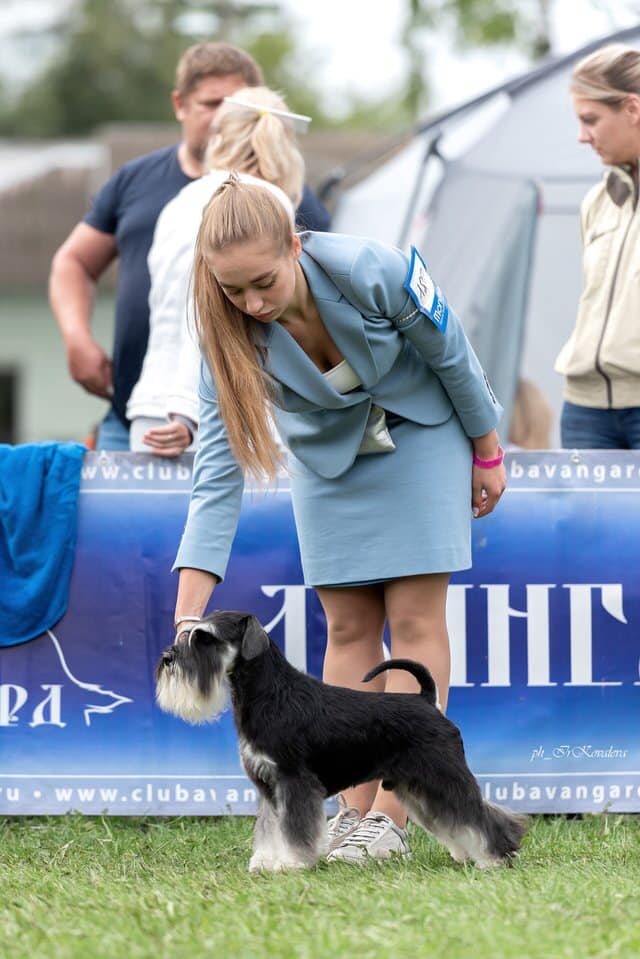 http://upforme.ru/uploads/0013/26/e2/64/148996.jpg
