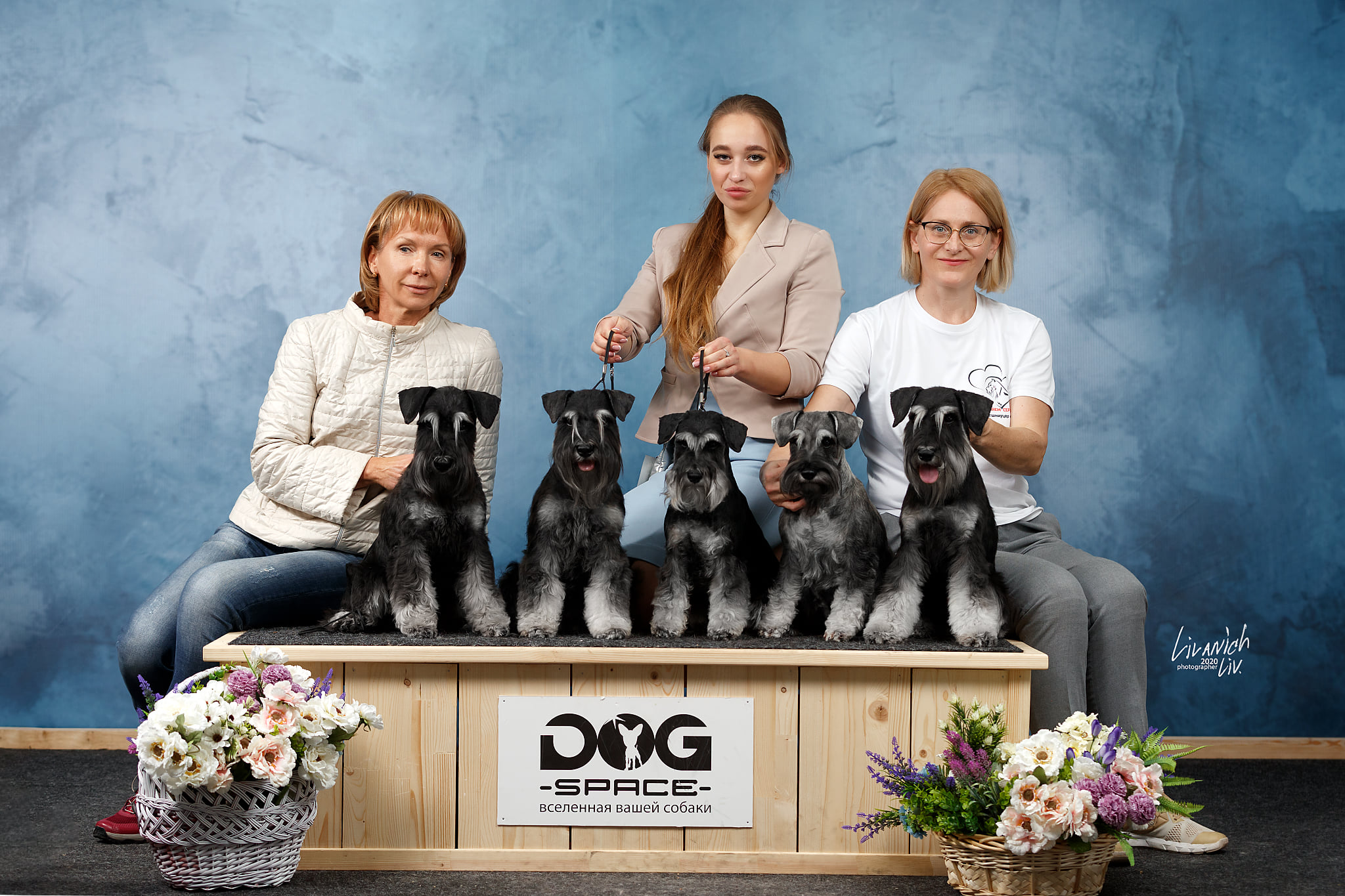 http://upforme.ru/uploads/0013/26/e2/64/152913.jpg