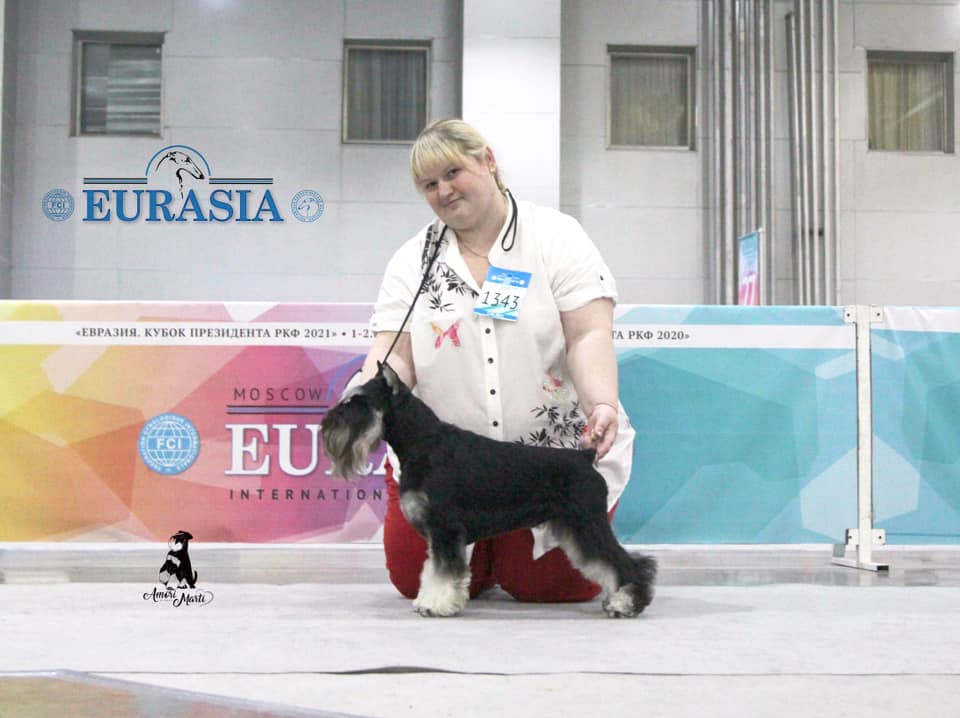 http://upforme.ru/uploads/0013/26/e2/64/154115.jpg