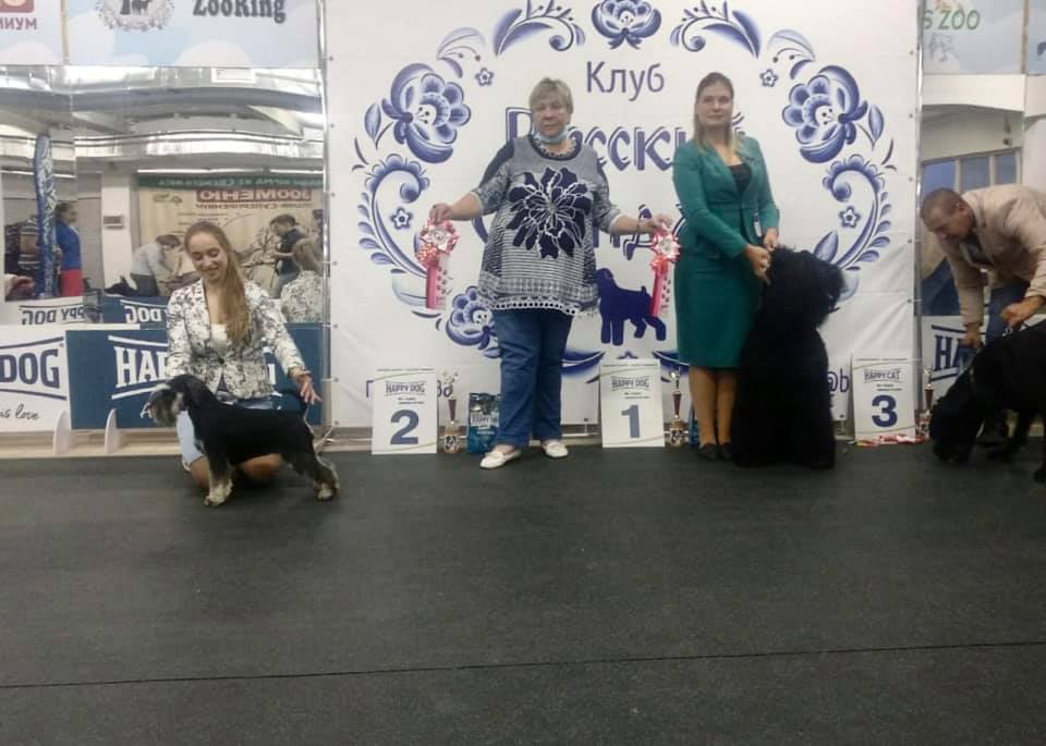 http://upforme.ru/uploads/0013/26/e2/64/159698.jpg