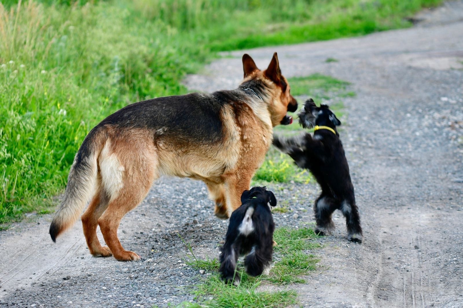 http://upforme.ru/uploads/0013/26/e2/64/160037.jpg