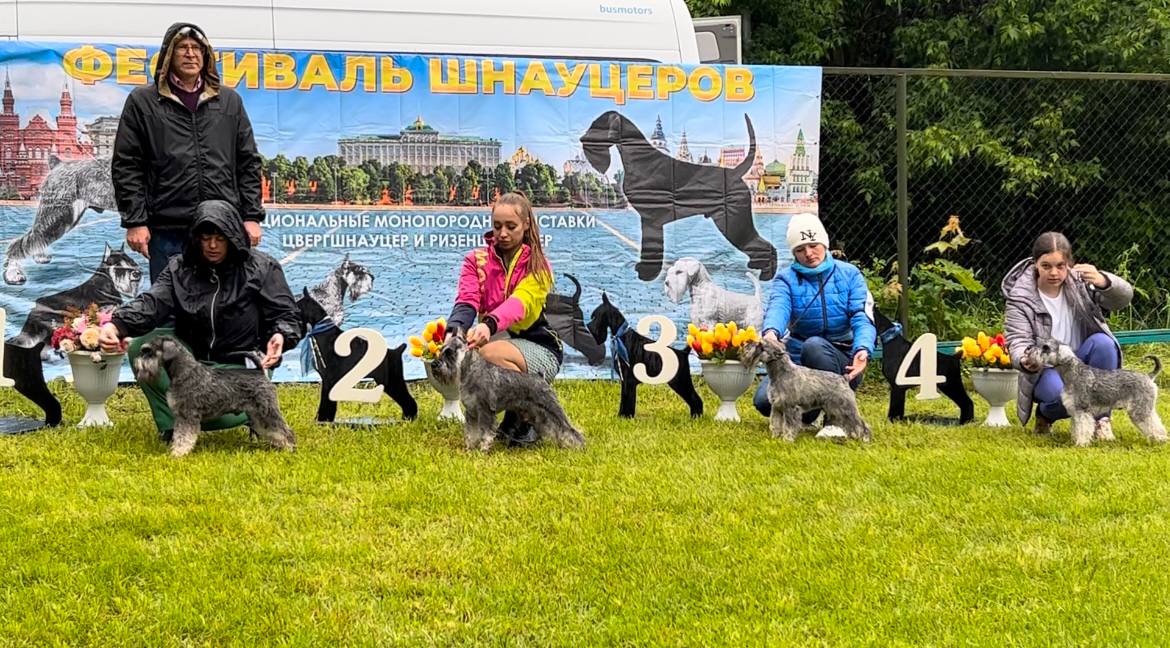 http://upforme.ru/uploads/0013/26/e2/64/161581.jpg
