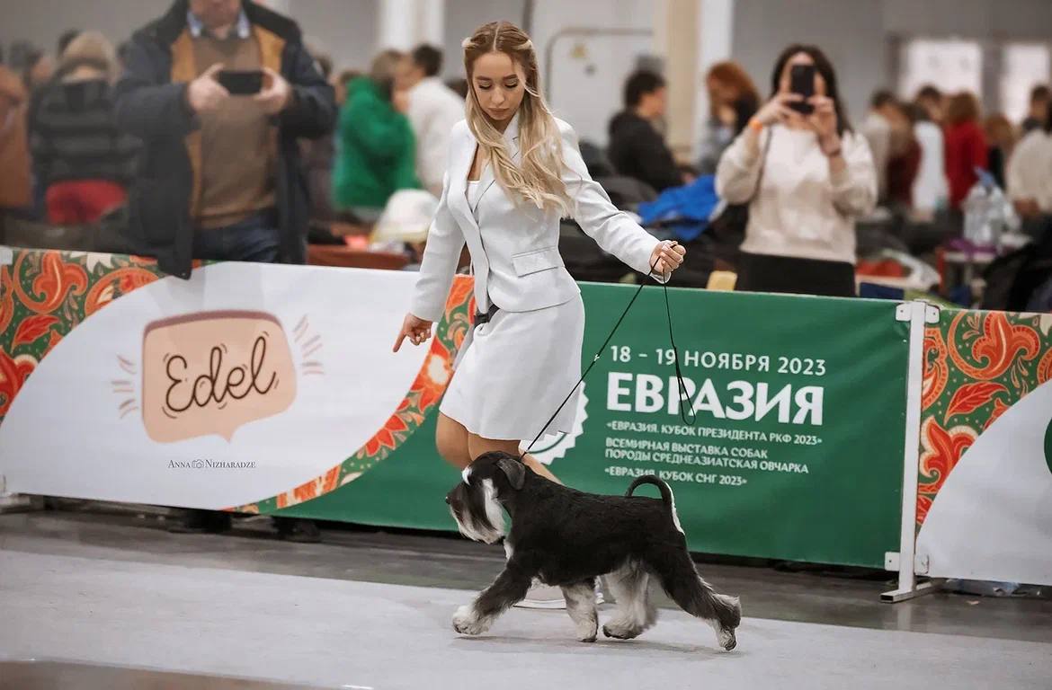 http://upforme.ru/uploads/0013/26/e2/64/173471.jpg