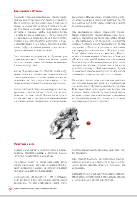 http://upforme.ru/uploads/0013/26/e2/64/183156.png