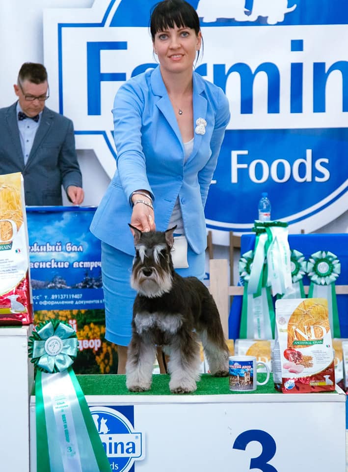 http://upforme.ru/uploads/0013/26/e2/64/18600.jpg