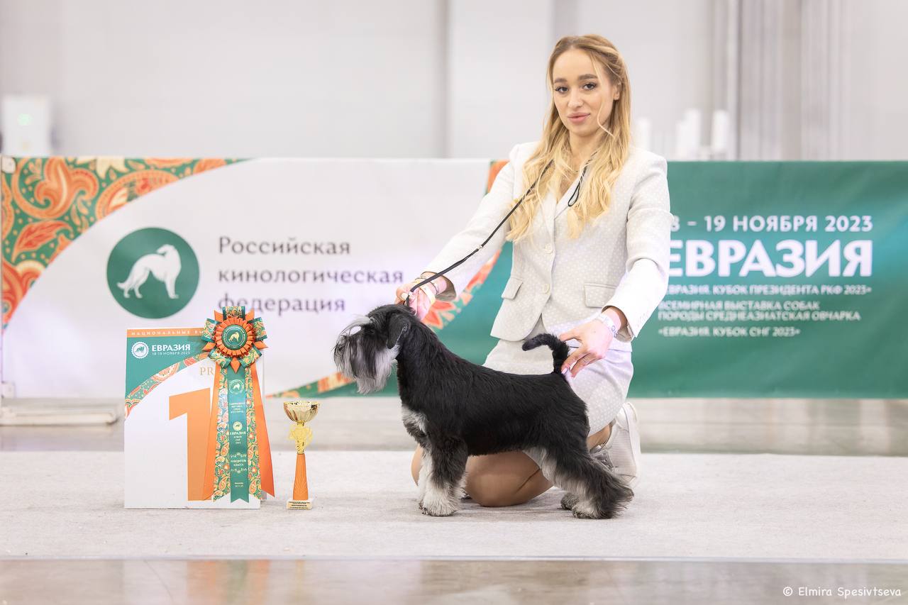 http://upforme.ru/uploads/0013/26/e2/64/191061.jpg
