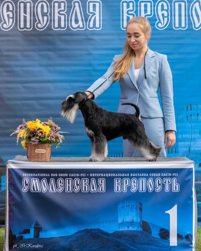 http://upforme.ru/uploads/0013/26/e2/64/191949.jpg