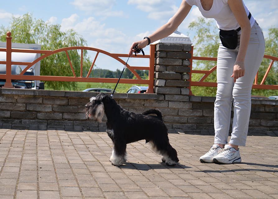 http://upforme.ru/uploads/0013/26/e2/64/216951.jpg