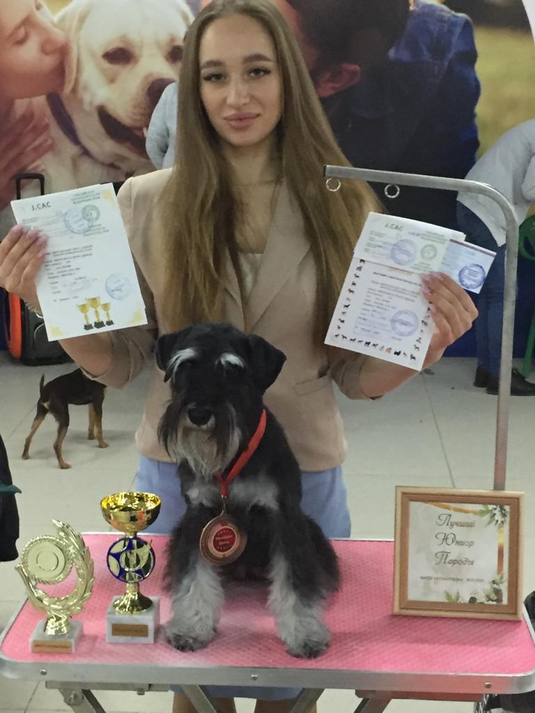 http://upforme.ru/uploads/0013/26/e2/64/221427.jpg