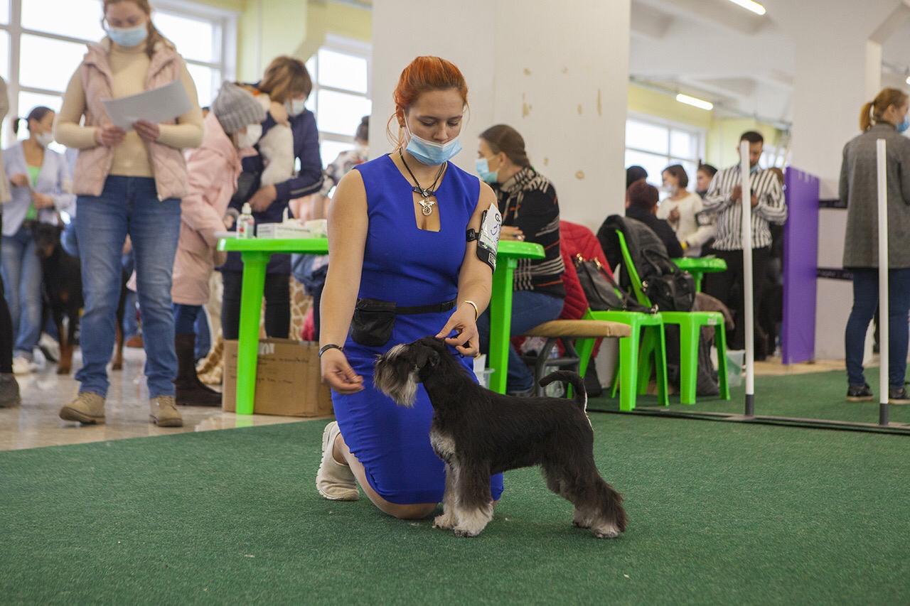 http://upforme.ru/uploads/0013/26/e2/64/221432.jpg