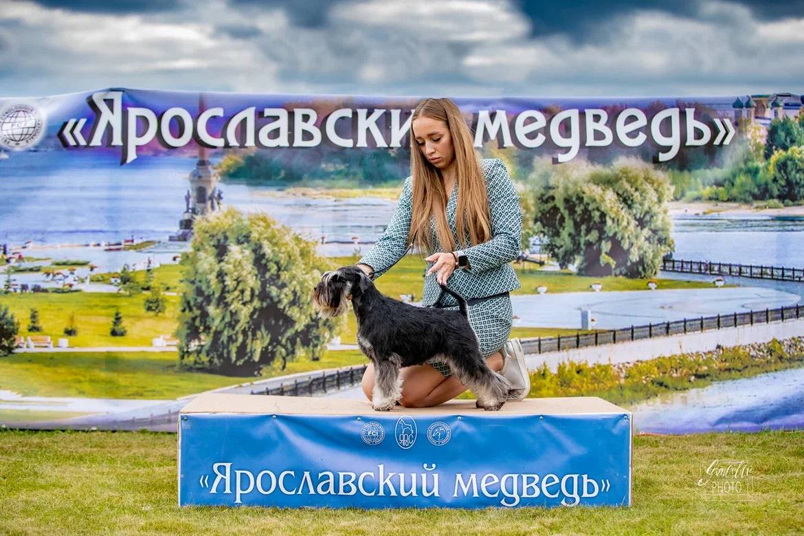http://upforme.ru/uploads/0013/26/e2/64/224583.jpg