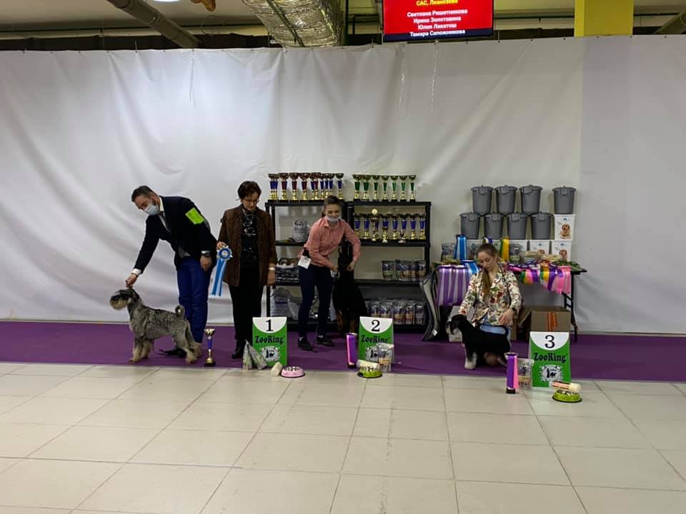 http://upforme.ru/uploads/0013/26/e2/64/227651.jpg