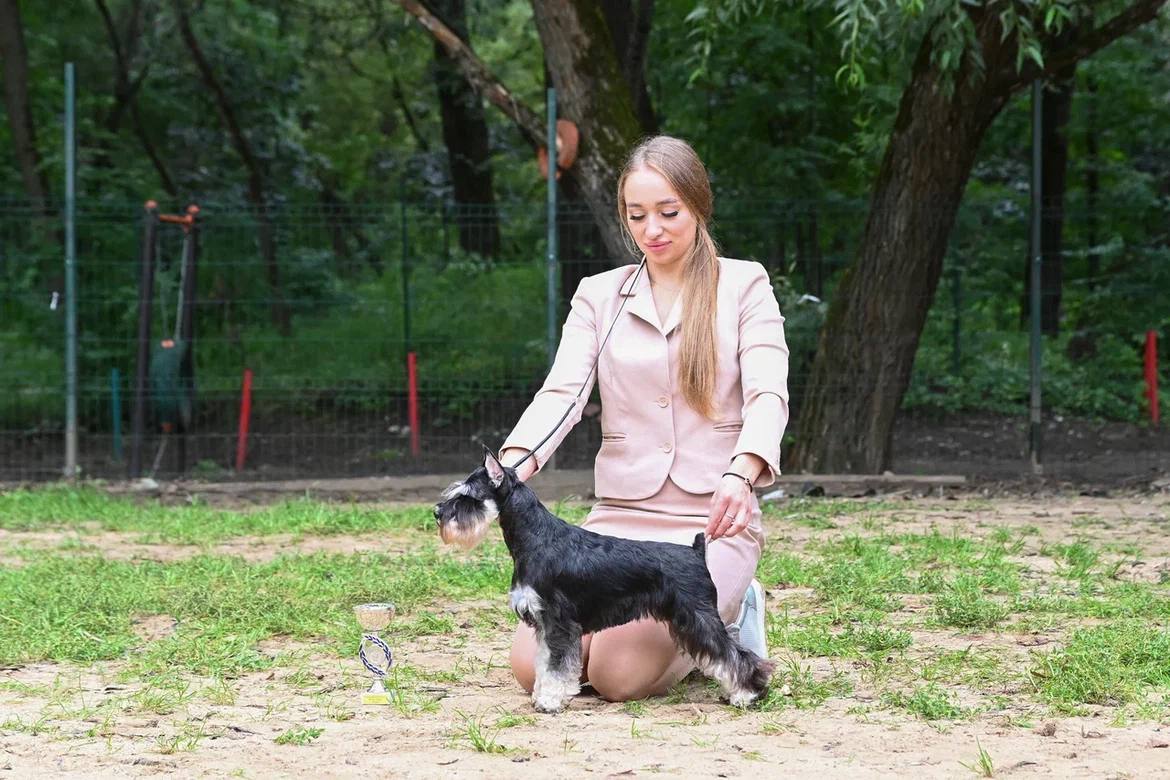 http://upforme.ru/uploads/0013/26/e2/64/231196.jpg