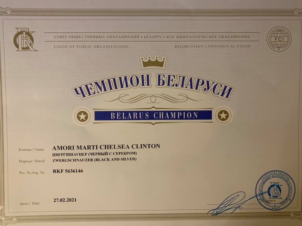 http://upforme.ru/uploads/0013/26/e2/64/248134.jpg