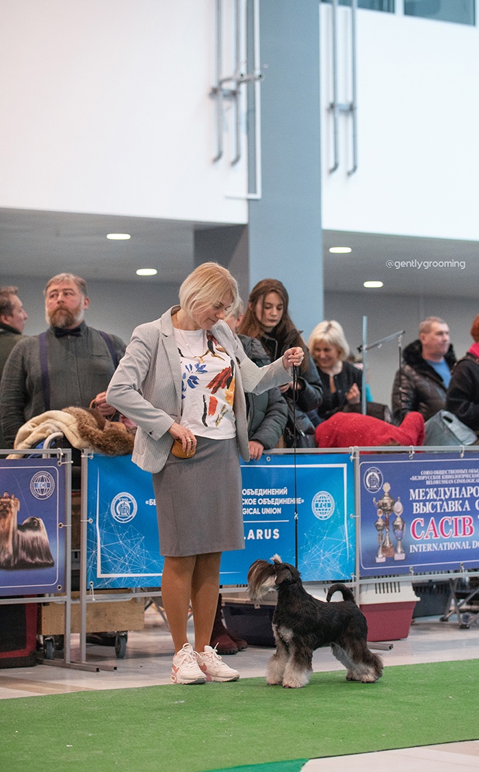 http://upforme.ru/uploads/0013/26/e2/64/248632.jpg
